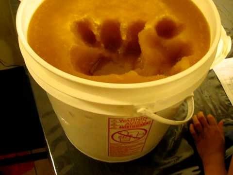  Honey Organic Unfiltered With Comb Quail Trail Lakeland FL